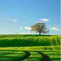 谷‌歌‍分﻿析​收‍费﻿吗​